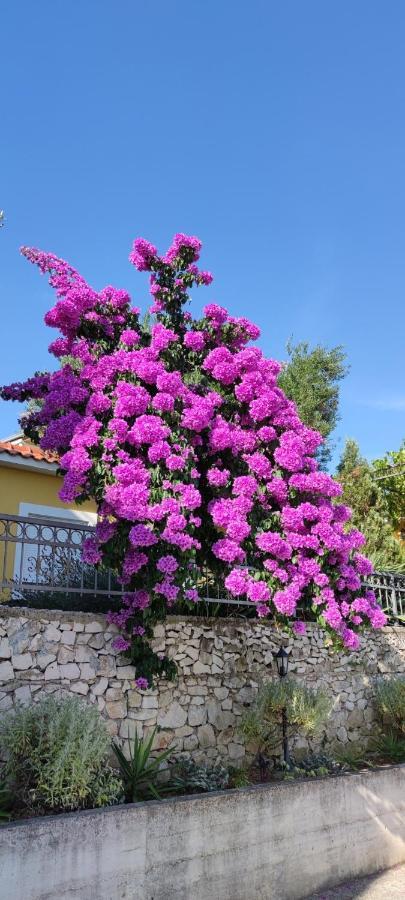 Apartments Sofija Slatine Εξωτερικό φωτογραφία